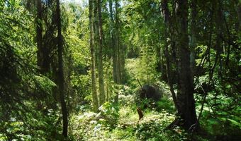 Tr A W No Road, Big Lake, AK 99652