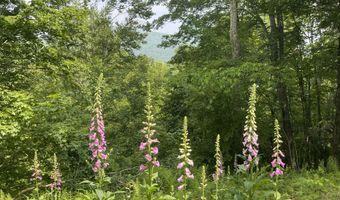 367 Rainbow Hill Rd, Andes, NY 13731