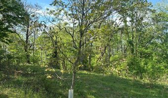12 Acs Gidsville Rd, Amherst, VA 24521