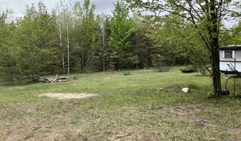 9718 NE FOREST LANE Dr, Alden, MI 49612