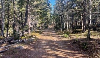 399 N Skinner Rd, Allenspark, CO 80510