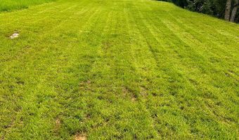 12129 N Scenic Hwy, Bastian, VA 24314
