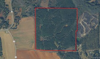154 County Road 38 Acres, Banks, AL 36005