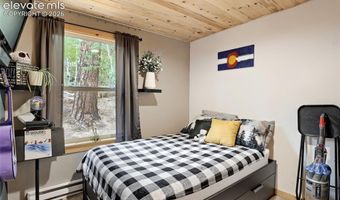 226 Hall Rd, Bailey, CO 80421
