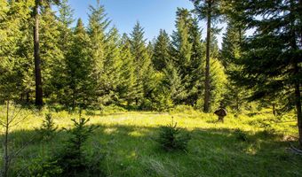 25 Starview Dr, Bigfork, MT 59911