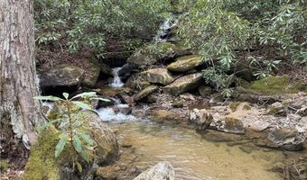 62 Acres Buckeye Ridge Rd, Beech Mountain, NC 28604