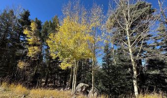 Rainbow Overlook lot 1227, Angel Fire, NM 87710