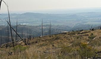 Pine Acres Rd, Bellvue, CO 80512