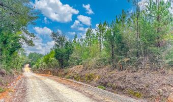 Tract # 6418 N Union Hill Road Bryant Bay, Caryville, FL 32427