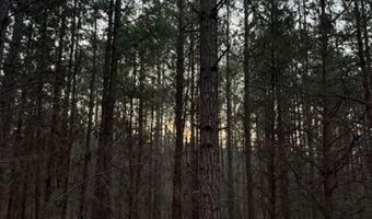 Piney Mountain Road lot 7, Appomattox, VA 24522