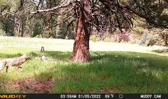 10643 CR 501, Bayfield, CO 81122