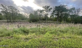 Oscar Rivette Road lot Multiple, Arnaudville, LA 70512
