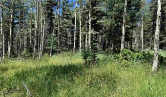 Lot 1012 El Camino Real, Angel Fire, NM 87710