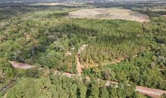 1289 Bruner Pond Rd, Ashford, AL 36312