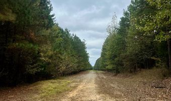 County Road 194, Coffeeville, MS 38922