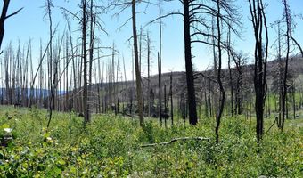 2025 Granite Rd, Bellvue, CO 80512