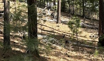 1483 Pine Lakes Ranch Rd, Cascade, ID 83611