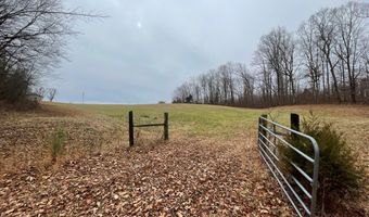 SULPHUR CREEK RD, Big Sandy, TN 38221