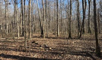 Cr 127, Abbeville, MS 38601
