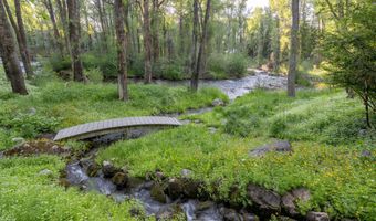 115 Neale Ave, Aspen, CO 81611