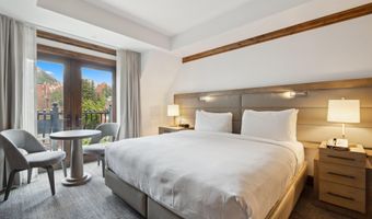 415 E Dean St Unit 36 Week 33, Aspen, CO 81611