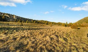NHN Lime Spur Road, Anaconda, MT 59711