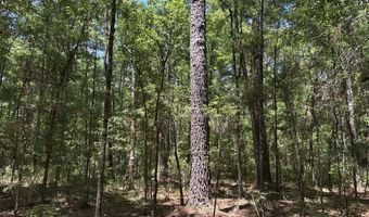 Highway 17A, Bonneau, SC 29431
