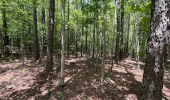 60150 N Harmony Rd, Amory, MS 38821