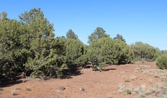 113 County Road 8092 Cedar, Concho, AZ 85924