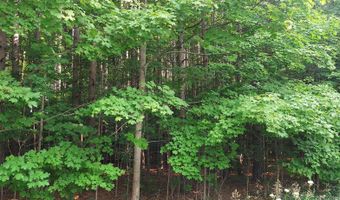 5090 Swamp Rd, Alden, MI 49612