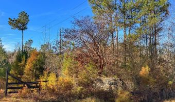 0 County Road 25, Reform, AL 35481