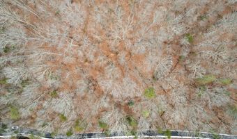 Fox Hollow Lane, Andersonville, TN 37705