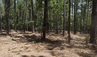 Lot 6 Lighthouse Point, Lincolnton, GA 30817