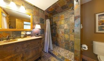209 Deer Path Ln, Almont, CO 81230