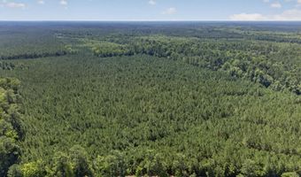 82 Acres Point Caswell Rd, Atkinson, NC 28421