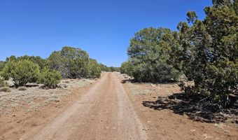 Tbd N8060, Concho, AZ 85924