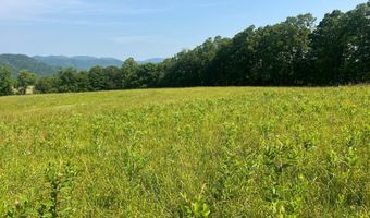 2358 White Tree Hill Rd, Ballard, WV 24918