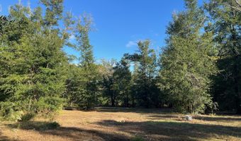 7958 NW County Rd 274, Altha, FL 32421
