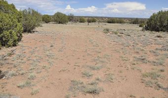 19 C & D County Rd N9033, Concho, AZ 85924