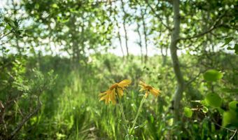 TRACT 4 ASPEN RIDGE Road, Daniel, WY 83115