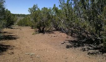 Tbd CR 8026, Concho, AZ 85924