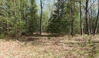 US 141 Road lot Lukes Road, Amasa, MI 49903