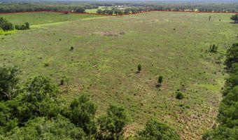 7009 129 Hwy, Bell, FL 32619