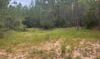 259 Forest Lake Rd, Beaumont, MS 39423