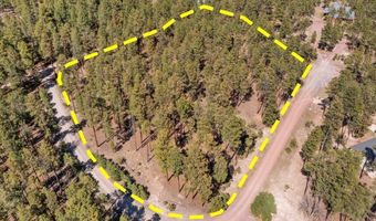 County Road 2325, Alpine, AZ 85920