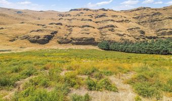 Not Assigned Snake River Road, Asotin, WA 99402