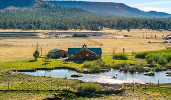 216 CR 2311, Alpine, AZ 85920