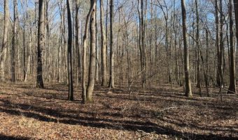 Cr 127, Abbeville, MS 38601