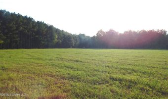 500 Cr 247 Country Rd, Bruce, MS 38915