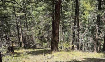 Valley Rd lot 123, Angel Fire, NM 87710